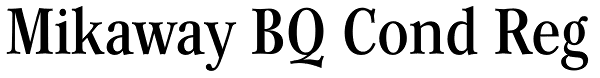 Mikaway BQ Cond Reg Font