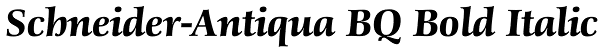 Schneider-Antiqua BQ Bold Italic Font