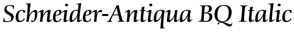 Schneider-Antiqua BQ Italic Font
