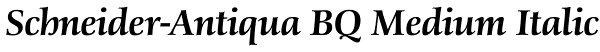 Schneider-Antiqua BQ Medium Italic Font