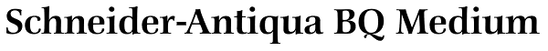 Schneider-Antiqua BQ Medium Font