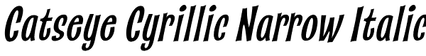 Catseye Cyrillic Narrow Italic Font