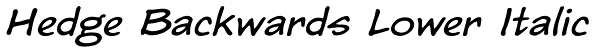 Hedge Backwards Lower Italic Font