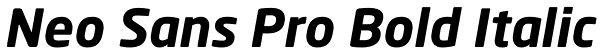 Neo Sans Pro Bold Italic Font