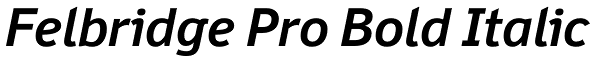 Felbridge Pro Bold Italic Font