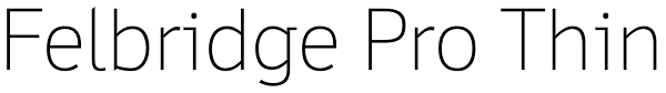 Felbridge Pro Thin Font