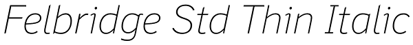 Felbridge Std Thin Italic Font