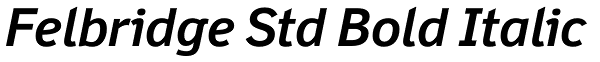 Felbridge Std Bold Italic Font