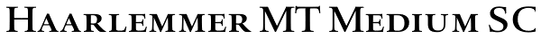 Haarlemmer MT Medium SC Font