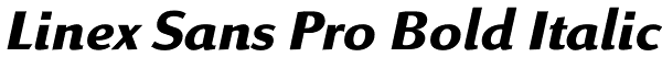 Linex Sans Pro Bold Italic Font