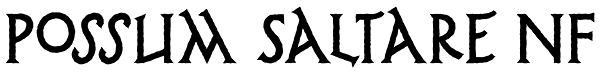 Possum Saltare NF Font