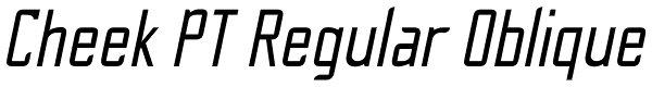 Cheek PT Regular Oblique Font