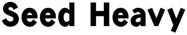 Seed Heavy Font