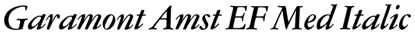 Garamont Amst EF Med Italic Font