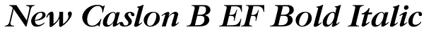 New Caslon B EF Bold Italic Font