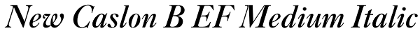New Caslon B EF Medium Italic Font