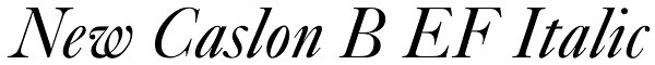 New Caslon B EF Italic Font