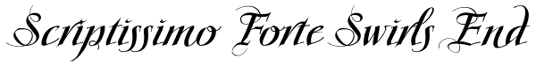 Scriptissimo Forte Swirls End Font