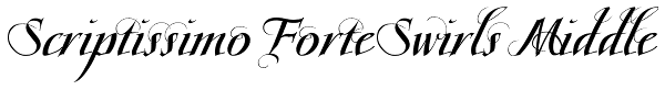 Scriptissimo Forte Swirls Middle Font