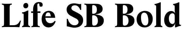 Life SB Bold Font