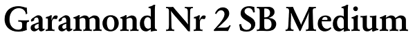 Garamond Nr 2 SB Medium Font