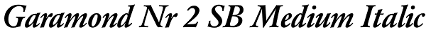 Garamond Nr 2 SB Medium Italic Font