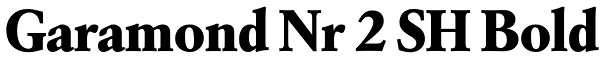 Garamond Nr 2 SH Bold Font