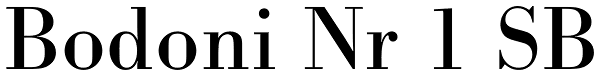 Bodoni Nr 1 SB Font