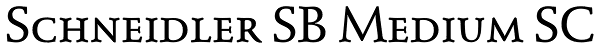 Schneidler SB Medium SC Font