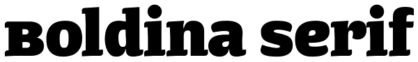 Boldina Serif Font
