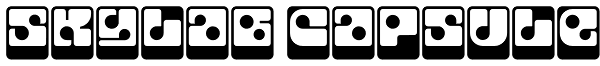 Skylab Capsule Font