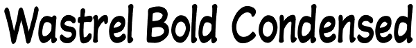 Wastrel Bold Condensed Font