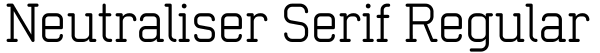 Neutraliser Serif Regular Font