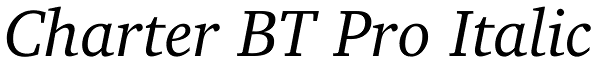 Charter BT Pro Italic Font