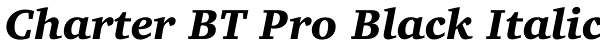 Charter BT Pro Black Italic Font