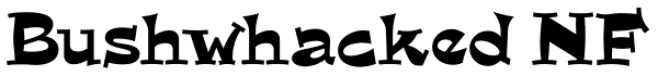 Bushwhacked NF Font