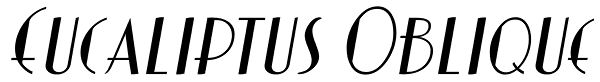 Eucaliptus Oblique Font