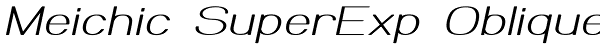 Meichic SuperExp Oblique Font