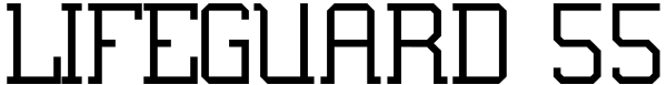 Lifeguard 55 Font