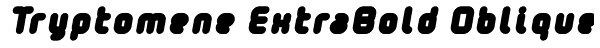Tryptomene ExtraBold Oblique Font