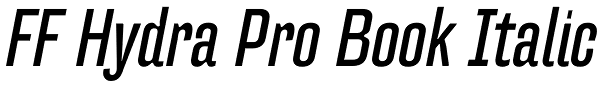 FF Hydra Pro Book Italic Font