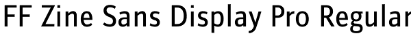 FF Zine Sans Display Pro Regular Font