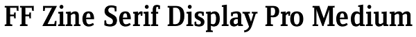 FF Zine Serif Display Pro Medium Font