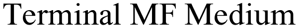 Terminal MF Medium Font