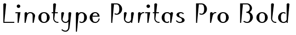 Linotype Puritas Pro Bold Font