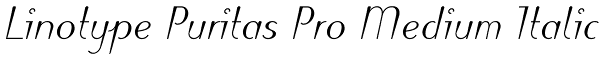 Linotype Puritas Pro Medium Italic Font