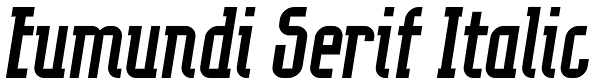 Eumundi Serif Italic Font