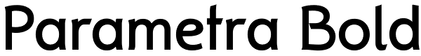 Parametra Bold Font