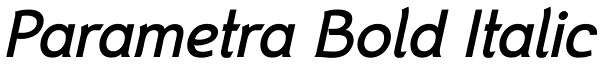 Parametra Bold Italic Font