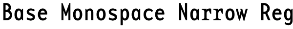 Base Monospace Narrow Reg Font